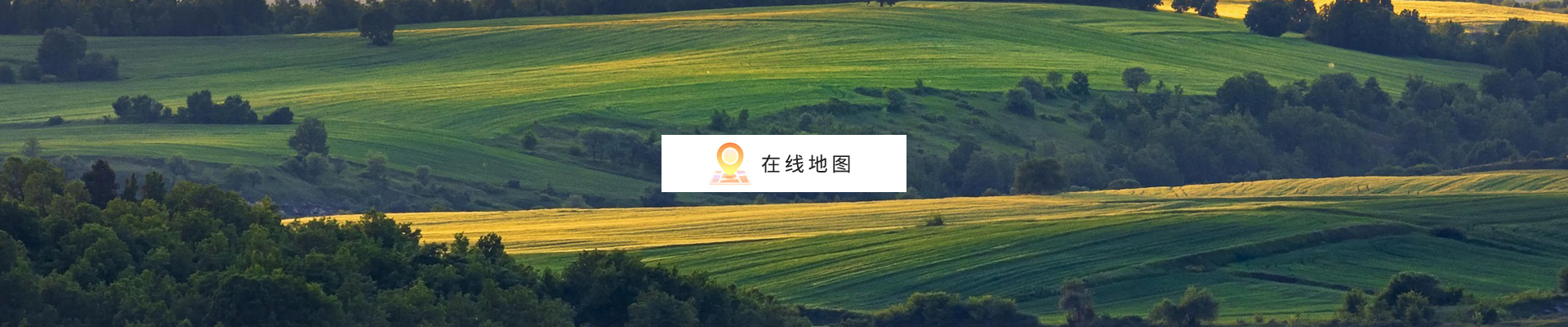 沃豐農(nóng)業(yè).jpg