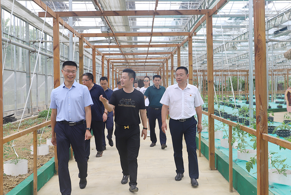 【農投動態(tài)】| 張紅兵區(qū)長到播州國際辣椒產業(yè)園調研