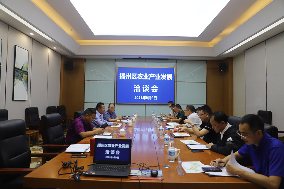【農(nóng)投動(dòng)態(tài)】| 貴州省社會(huì)主義學(xué)院與區(qū)農(nóng)投公司召開座談會(huì)