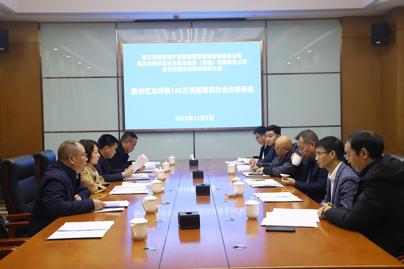 播州區(qū)蛋雞養(yǎng)殖項目達成初步合作意向